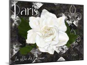 Paris La Vill De L’amour-Tina Lavoie-Mounted Giclee Print