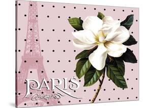 Paris Magnolias II-Tina Lavoie-Stretched Canvas