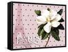 Paris Magnolias II-Tina Lavoie-Framed Stretched Canvas