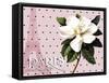 Paris Magnolias II-Tina Lavoie-Framed Stretched Canvas