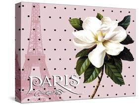Paris Magnolias II-Tina Lavoie-Stretched Canvas