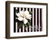 Paris Magnolias IV-Tina Lavoie-Framed Giclee Print