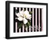 Paris Magnolias IV-Tina Lavoie-Framed Giclee Print