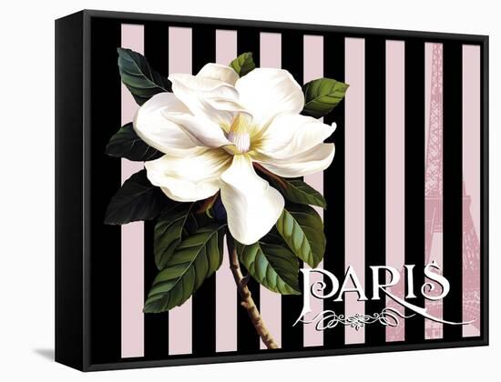 Paris Magnolias IV-Tina Lavoie-Framed Stretched Canvas