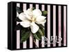 Paris Magnolias IV-Tina Lavoie-Framed Stretched Canvas