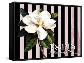 Paris Magnolias IV-Tina Lavoie-Framed Stretched Canvas