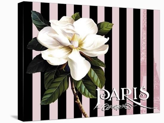 Paris Magnolias IV-Tina Lavoie-Stretched Canvas