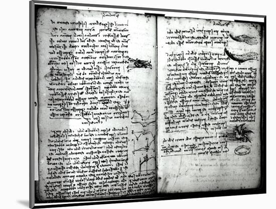 Paris Manuscript E, Fol. 22V and 23R: Sketch of the Flight of Birds, 1513-14-Leonardo da Vinci-Mounted Giclee Print