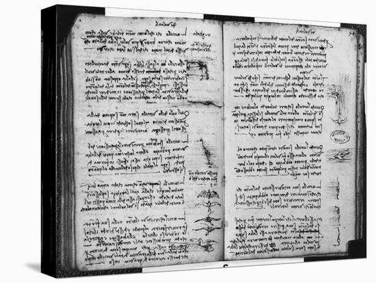 Paris Manuscript E, Fol. 53V and 54R: Sketch Depicting the Flight of Birds, 1513-14-Leonardo da Vinci-Stretched Canvas