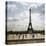 Paris Meander-Pete Kelly-Stretched Canvas