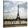 Paris Meander-Pete Kelly-Stretched Canvas