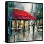 Paris Modern 2-Brent Heighton-Framed Stretched Canvas