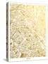 Paris New-The Gold Foil Map Company-Stretched Canvas