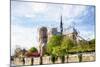 Paris Notre Dame II - In the Style of Oil Painting-Philippe Hugonnard-Mounted Giclee Print