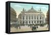 Paris Opera House-null-Framed Stretched Canvas