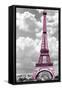 Paris Pink-Mindy Sommers-Framed Stretched Canvas
