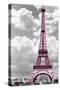 Paris Pink-Mindy Sommers-Stretched Canvas
