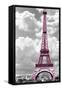 Paris Pink-Mindy Sommers-Framed Stretched Canvas