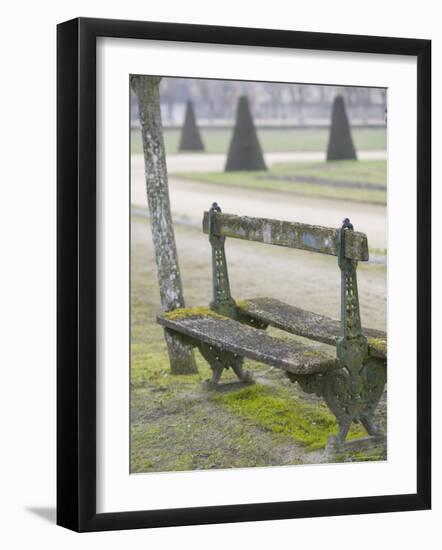 Paris Region, Chateau de Fontainebleau (16th Cent)-Walter Bibikow-Framed Photographic Print