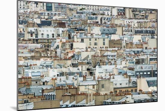 Paris Rooftops I-Erin Berzel-Mounted Photographic Print