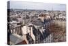 Paris Rooftops III-Rita Crane-Stretched Canvas