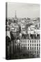Paris Rooftops VI-Rita Crane-Stretched Canvas