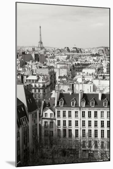 Paris Rooftops VI-Rita Crane-Mounted Photographic Print