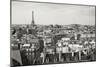 Paris Rooftops VIII-Rita Crane-Mounted Photographic Print