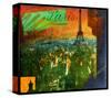 Paris Rooftops-Chris Vest-Stretched Canvas