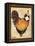 Paris Rooster I-Jennifer Garant-Framed Stretched Canvas