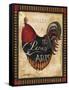 Paris Rooster II-Jennifer Garant-Framed Stretched Canvas