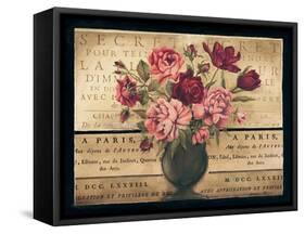 Paris Rose I-Kimberly Poloson-Framed Stretched Canvas