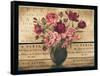 Paris Rose I-Kimberly Poloson-Framed Stretched Canvas