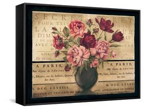 Paris Rose I-Kimberly Poloson-Framed Stretched Canvas