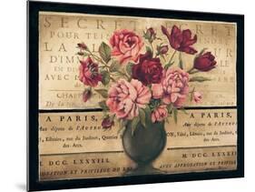 Paris Rose I-Kimberly Poloson-Mounted Art Print