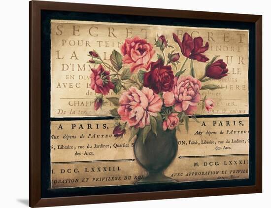 Paris Rose I-Kimberly Poloson-Framed Art Print