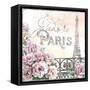 Paris Roses III-Beth Grove-Framed Stretched Canvas