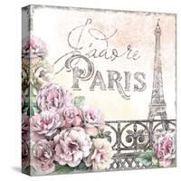 Paris Roses III-Beth Grove-Stretched Canvas