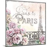Paris Roses III-Beth Grove-Mounted Art Print