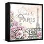 Paris Roses III-Beth Grove-Framed Stretched Canvas