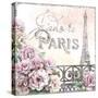 Paris Roses III-Beth Grove-Stretched Canvas