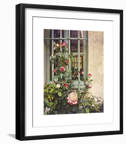 Paris Roses-Dawne Polis-Framed Giclee Print