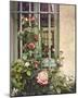 Paris Roses-Dawne Polis-Mounted Giclee Print