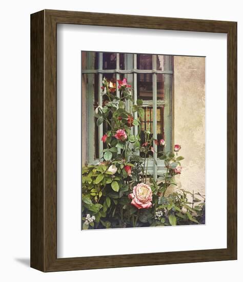 Paris Roses-Dawne Polis-Framed Art Print