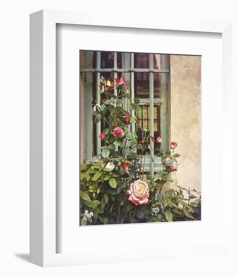 Paris Roses-Dawne Polis-Framed Art Print