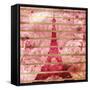 Paris Roses-OnRei-Framed Stretched Canvas
