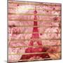 Paris Roses-OnRei-Mounted Premium Giclee Print