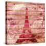 Paris Roses-OnRei-Stretched Canvas