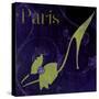 Paris Shoes-Mindy Sommers-Stretched Canvas
