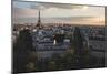 Paris Skyline From The Arc De Triomphe-Lindsay Daniels-Mounted Photographic Print